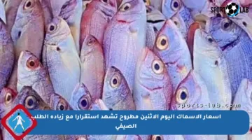 أسعار الأسماك اليوم الاثنين مطروح تشهد استقرارا مع زيادة الطلب الصيفي